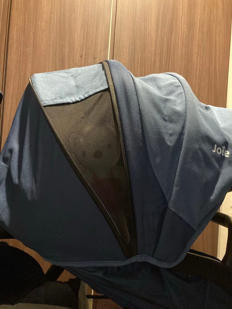 ⭐︎⭐︎⭐︎だいまんき⭐︎⭐︎⭐︎ Joie エヴァライトデュオ　ジープシー　二人乗り