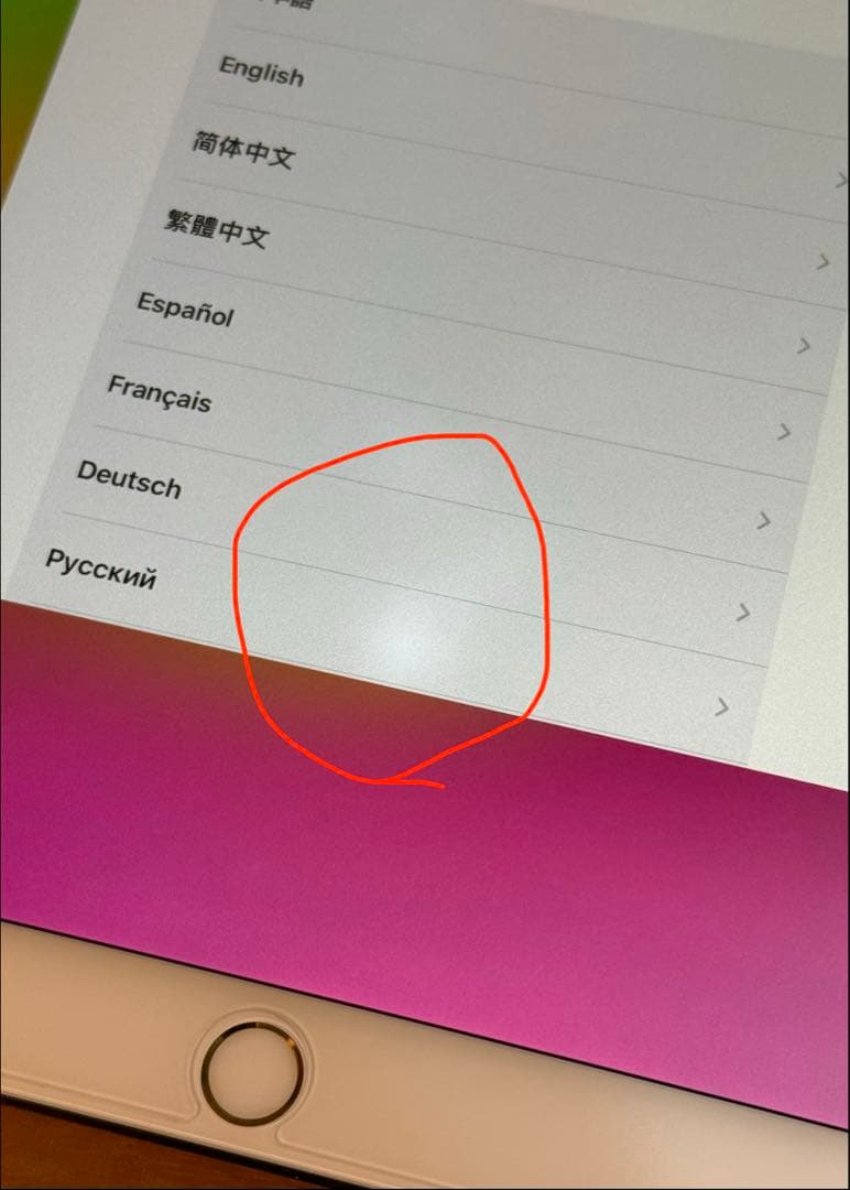 Apple iPad Pro 10.5インチ