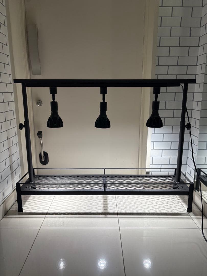 チッピング塗装　ミニ植物棚　卓上植物棚　アガベ　シーザー　ハデス　パキプス