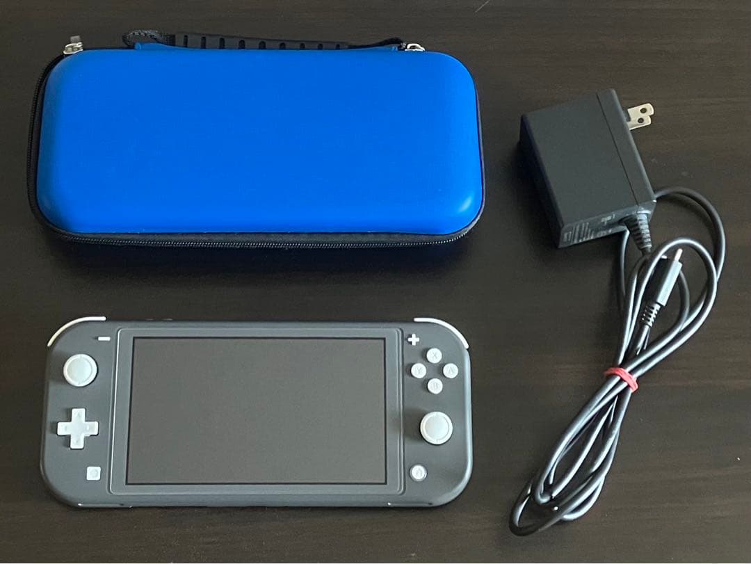 switch lite本体と電源ケーブル及びケース他