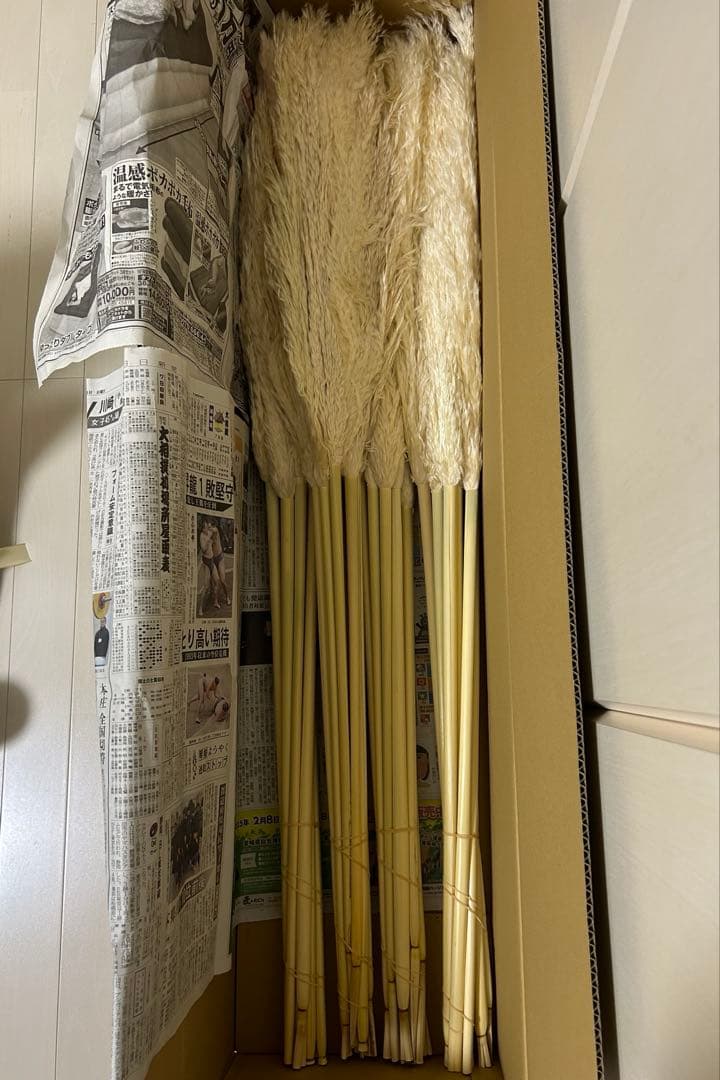 パンパスグラス　ドライフラワー　40本セット