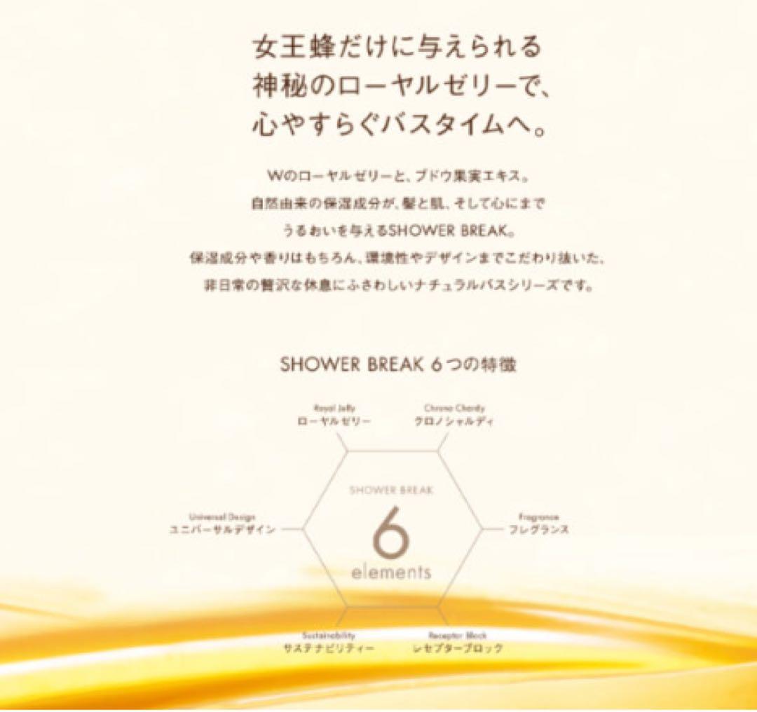 【新品】【正規品】POLA シャワーブレイク ボディソープ 10Lポーラ