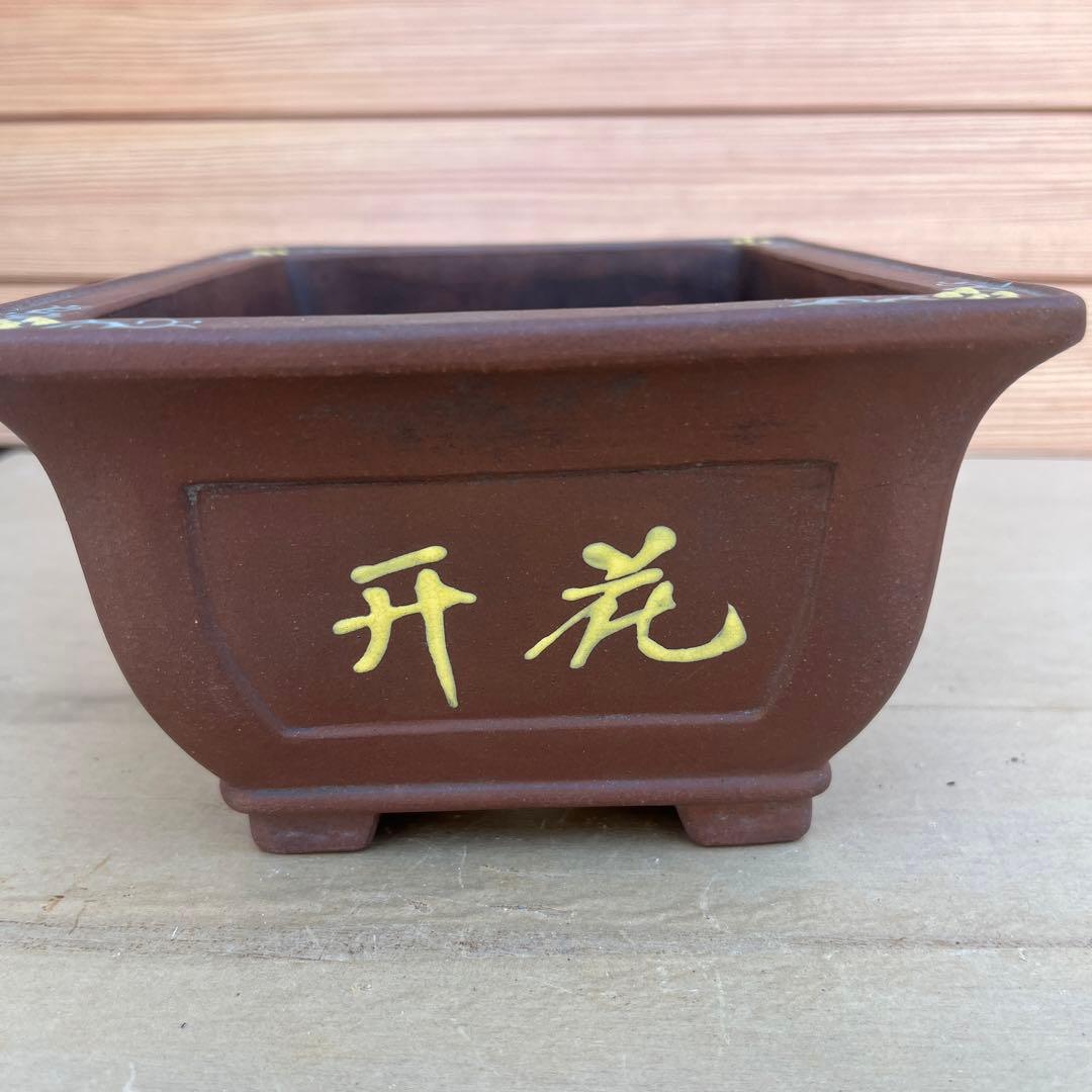 落鑑有り　植木鉢