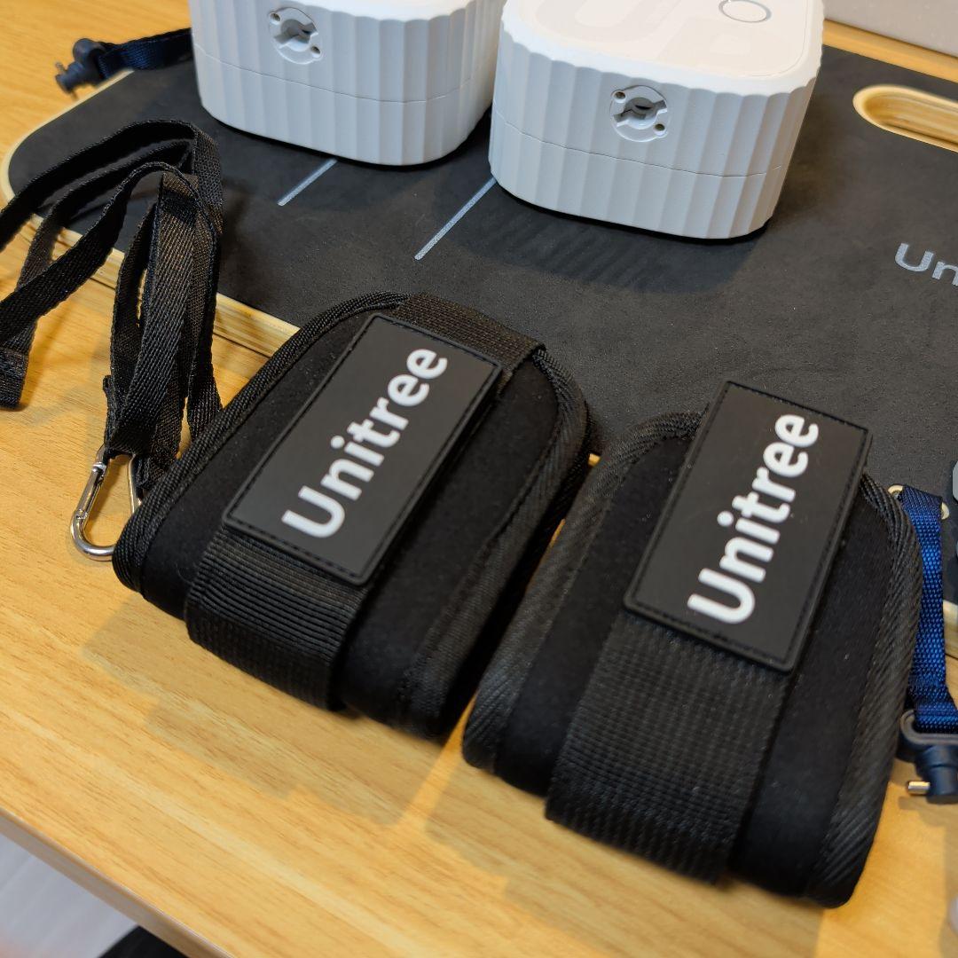 【定価約8万】Unitree PUMP 2個セット スマートジム 筋トレ