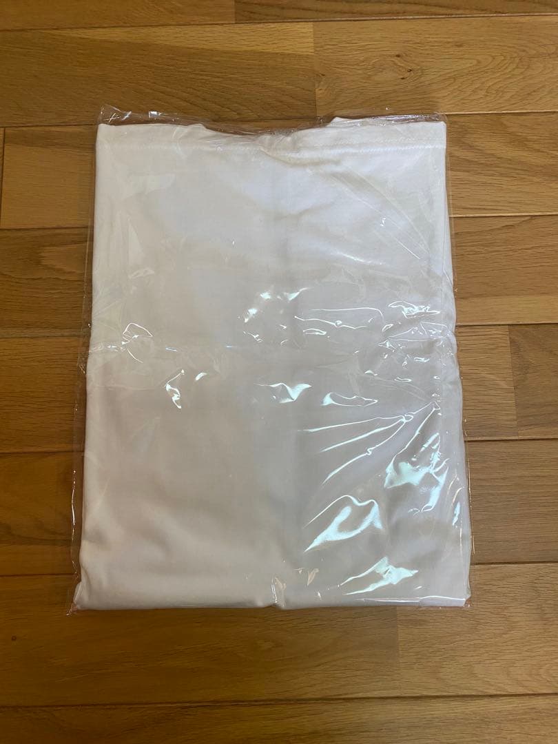 Supreme Dust Tee ホワイト Mサイズ　シュプリーム