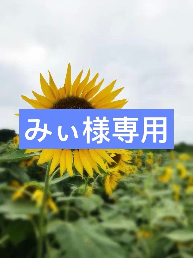 絵本・児童書 Amelia Bedelia/Biscuit/Fancy Nancy