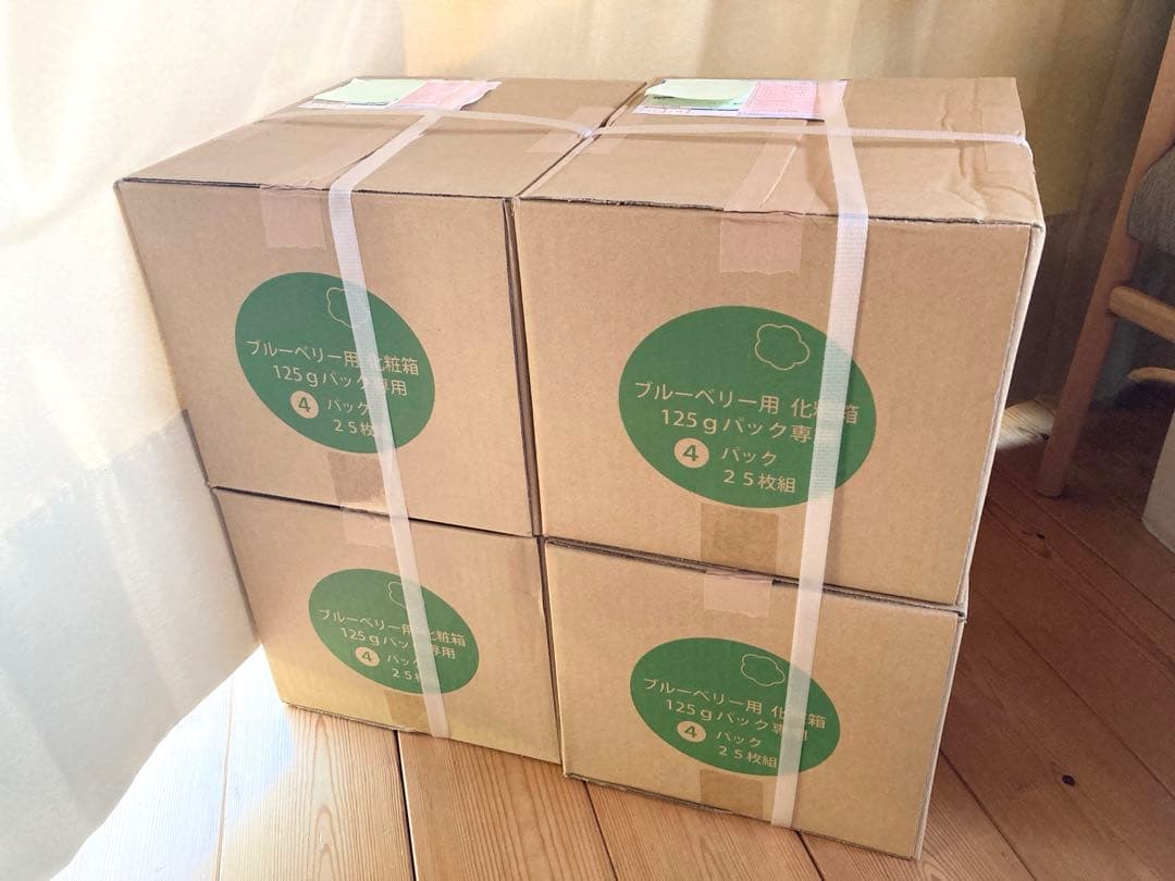 ブルーベリー用化粧箱 ［125gパック×4パック 25枚］×4箱セット 2割引