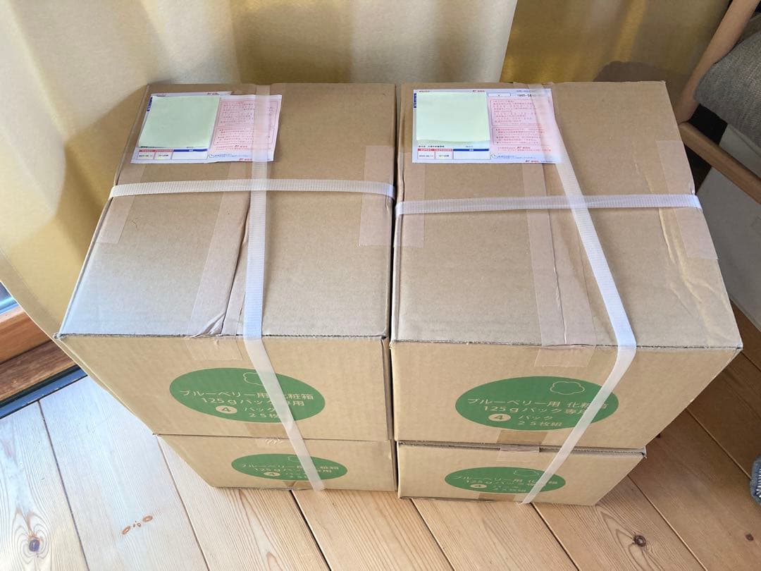 ブルーベリー用化粧箱 ［125gパック×4パック 25枚］×4箱セット 2割引