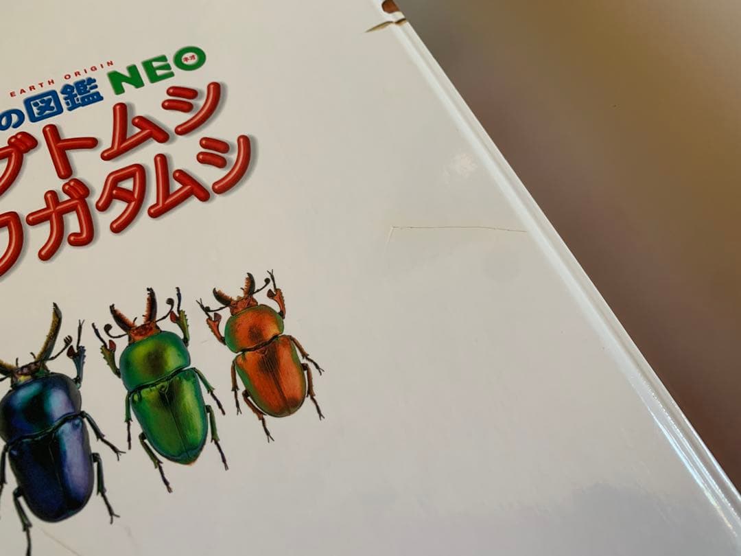 美品　小学館の図鑑neo 18冊セット