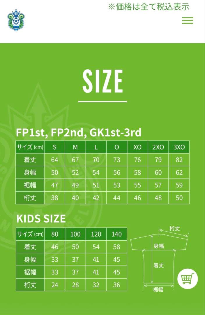 湘南ベルマーレ 平岡大陽 2024ユニフォーム Oサイズ タオルマフラー付