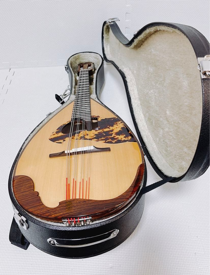 【美品 メンテ済】落合大悟郎 マンドラ D-2 最高級 岩本ケース付