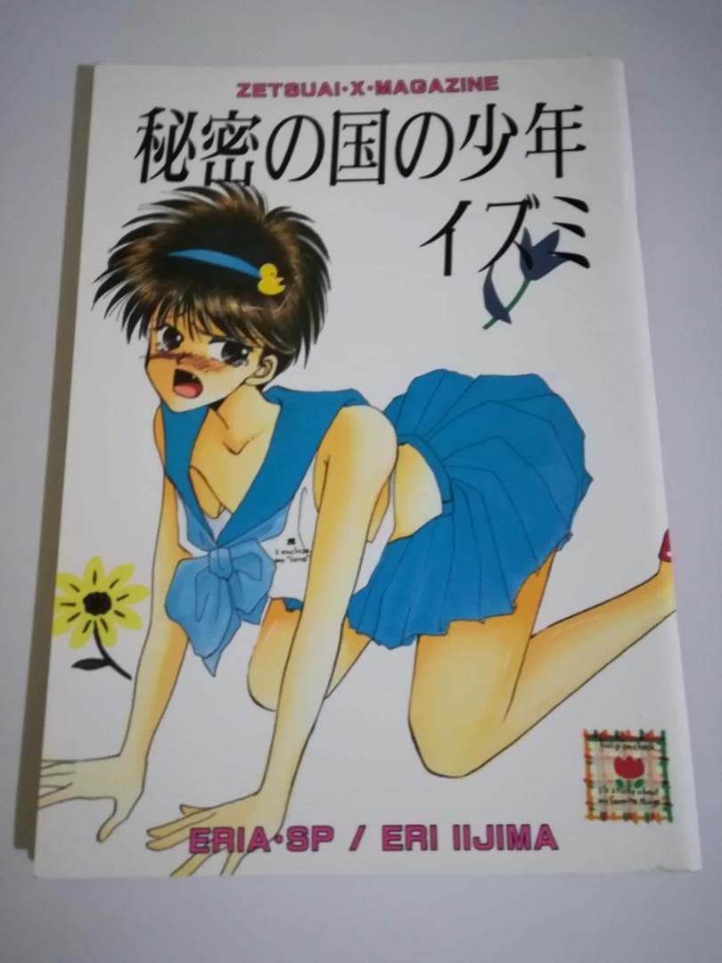 レア本 絶愛・BRONZE 同人誌 晃司×泉 尾崎南 秘密の国の少年イズミ