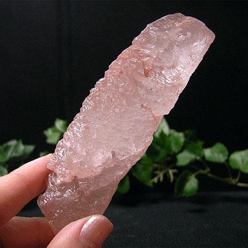 ポイント（ヒマラヤ水晶/アイスクリスタル6）トライゴーニック・C面