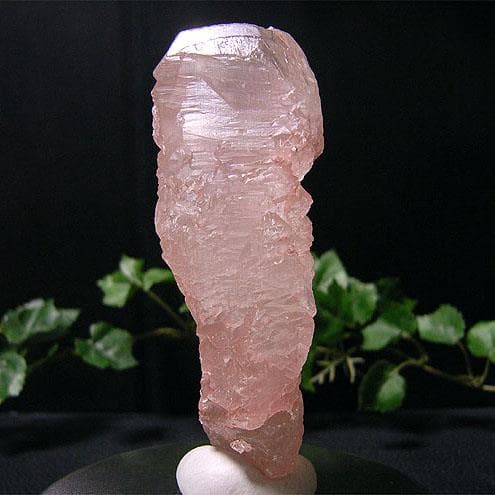 ポイント（ヒマラヤ水晶/アイスクリスタル6）トライゴーニック・C面