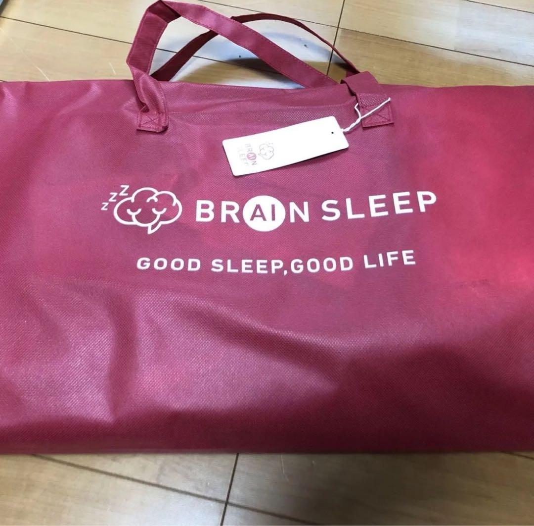 ブレインスリープピローlow 枕カバー2枚付 アクティブエア ホワイト ブラウン