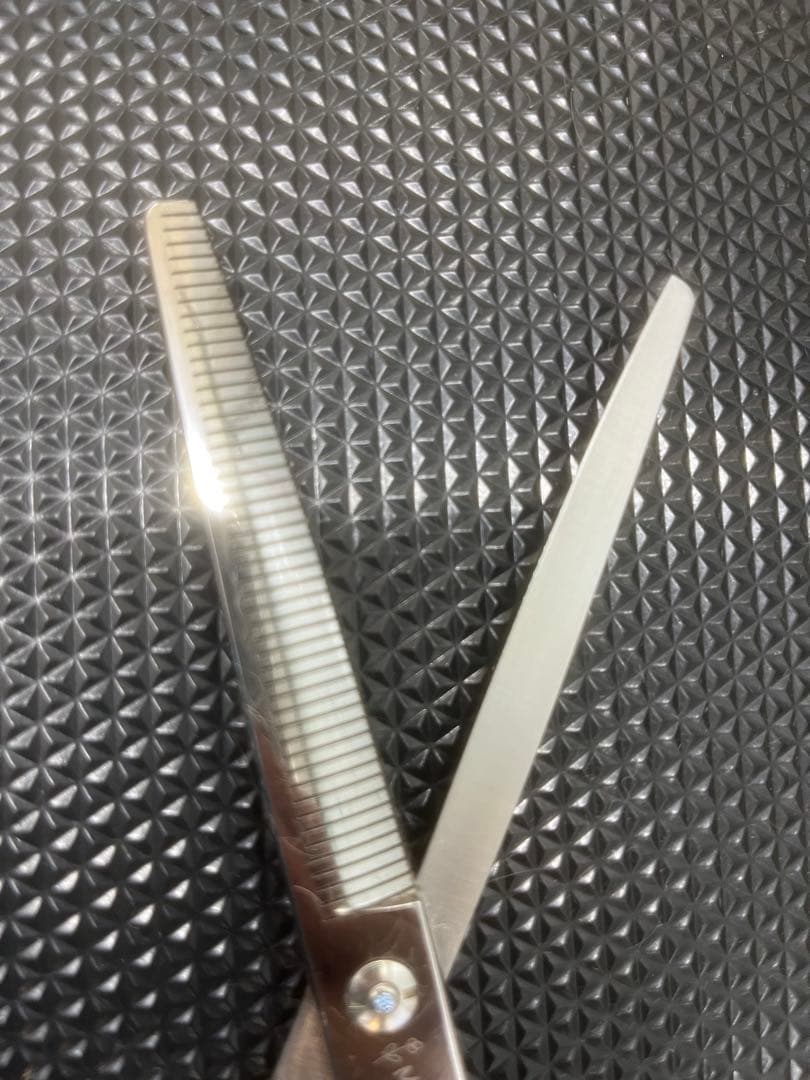 momo シザー　アプリコット