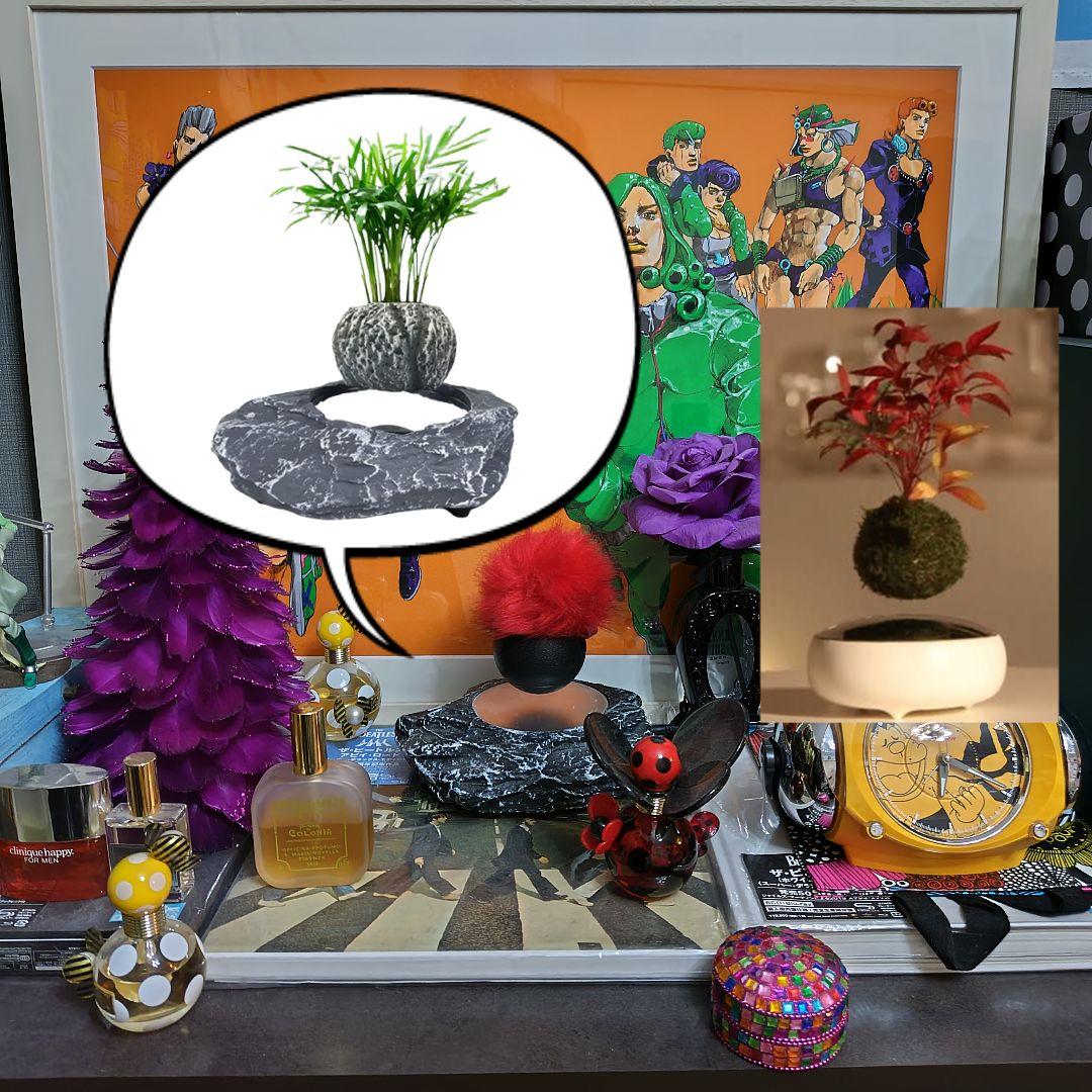 空中盆栽 air bonsai 空気の装飾 磁気浮上 磁力台座 空飛ぶ盆栽 浮く