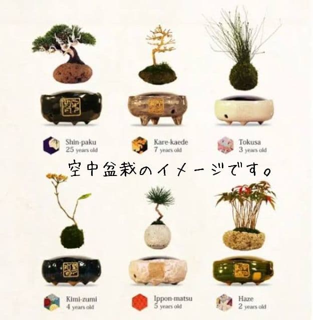 空中盆栽 air bonsai 空気の装飾 磁気浮上 磁力台座 空飛ぶ盆栽 浮く