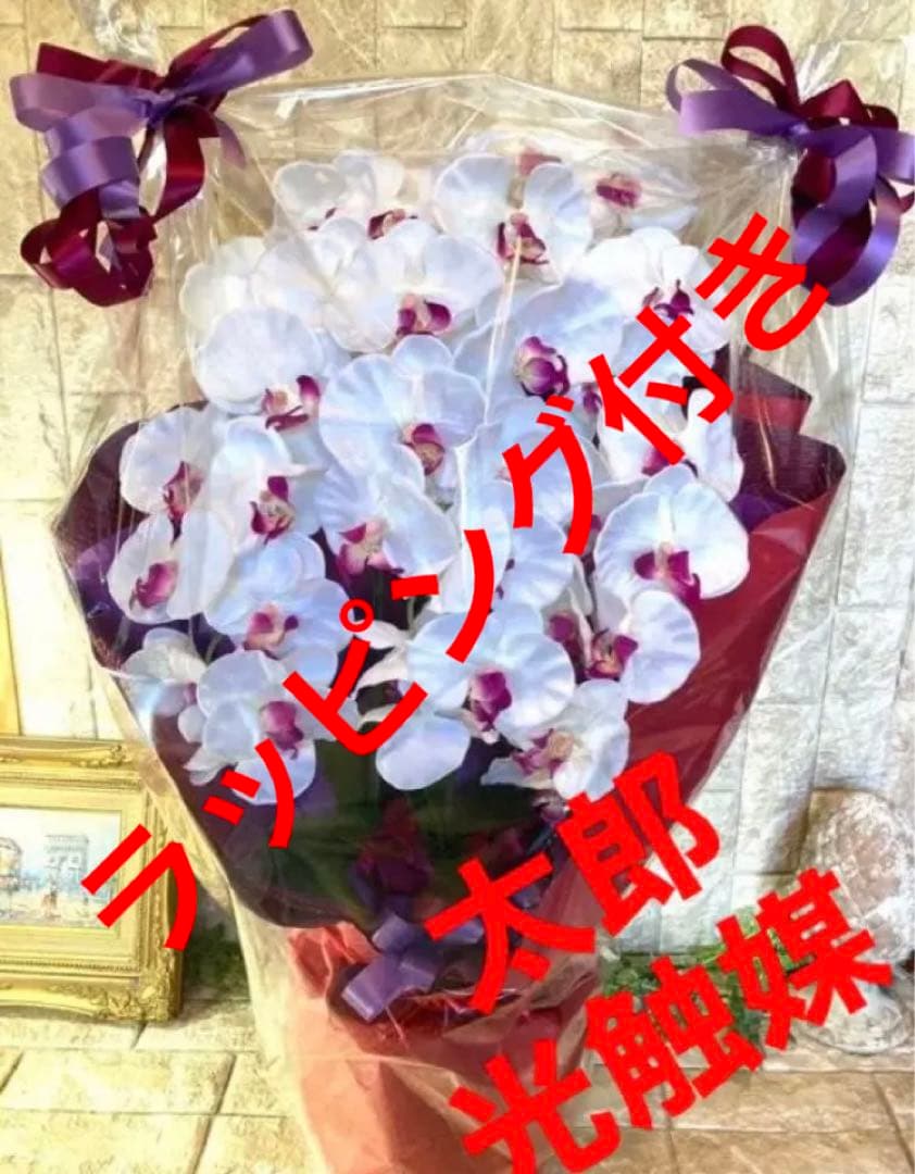 光触媒　人工観葉植物　ウォールグリーン　フェイクグリーン　胡蝶蘭8155