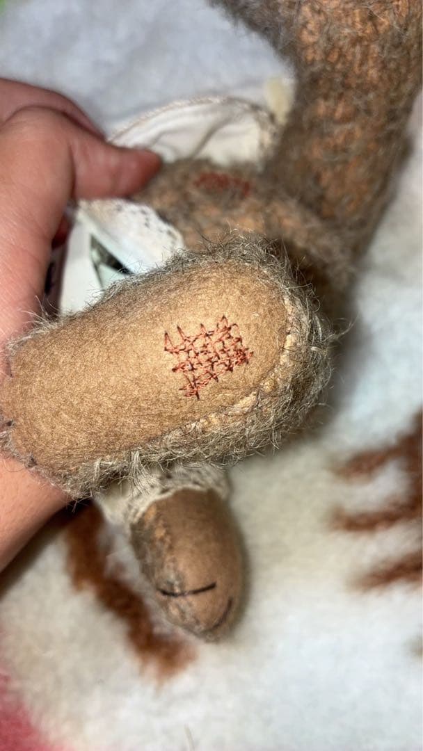 【限定品】シュタイフ テディベア アニー アンティーク キャラメル 24cm