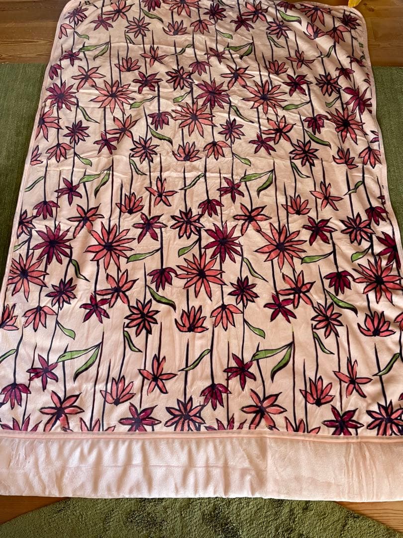 【シビラ】あったか綿入り毛布　コラソン　シングル　140×200 2枚セット