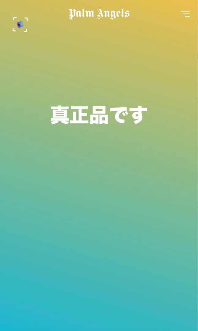 893【人気のL】パームエンジェルス　ベア　パイルロゴ　QR鑑定済　パーカー
