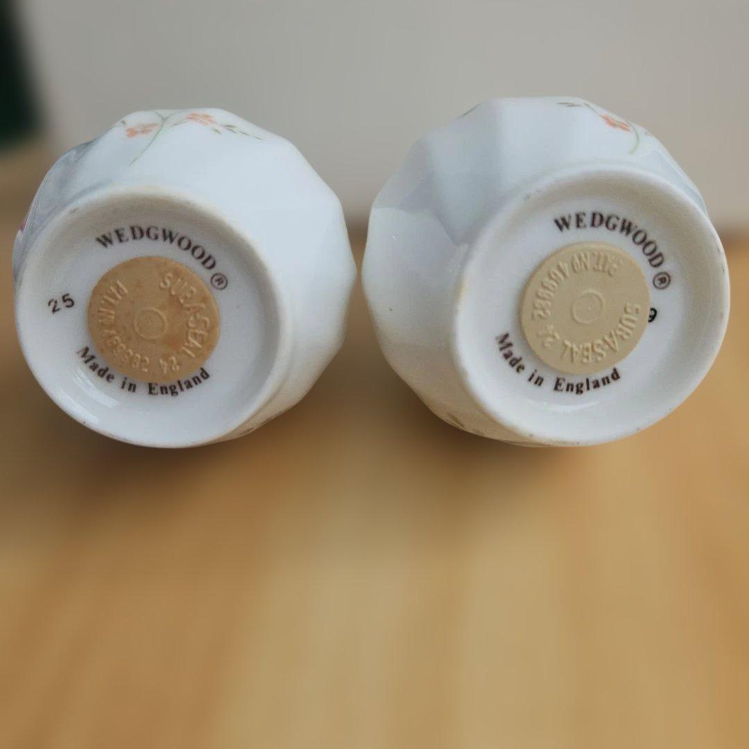  CAMPION 　ソルトペッパーセット