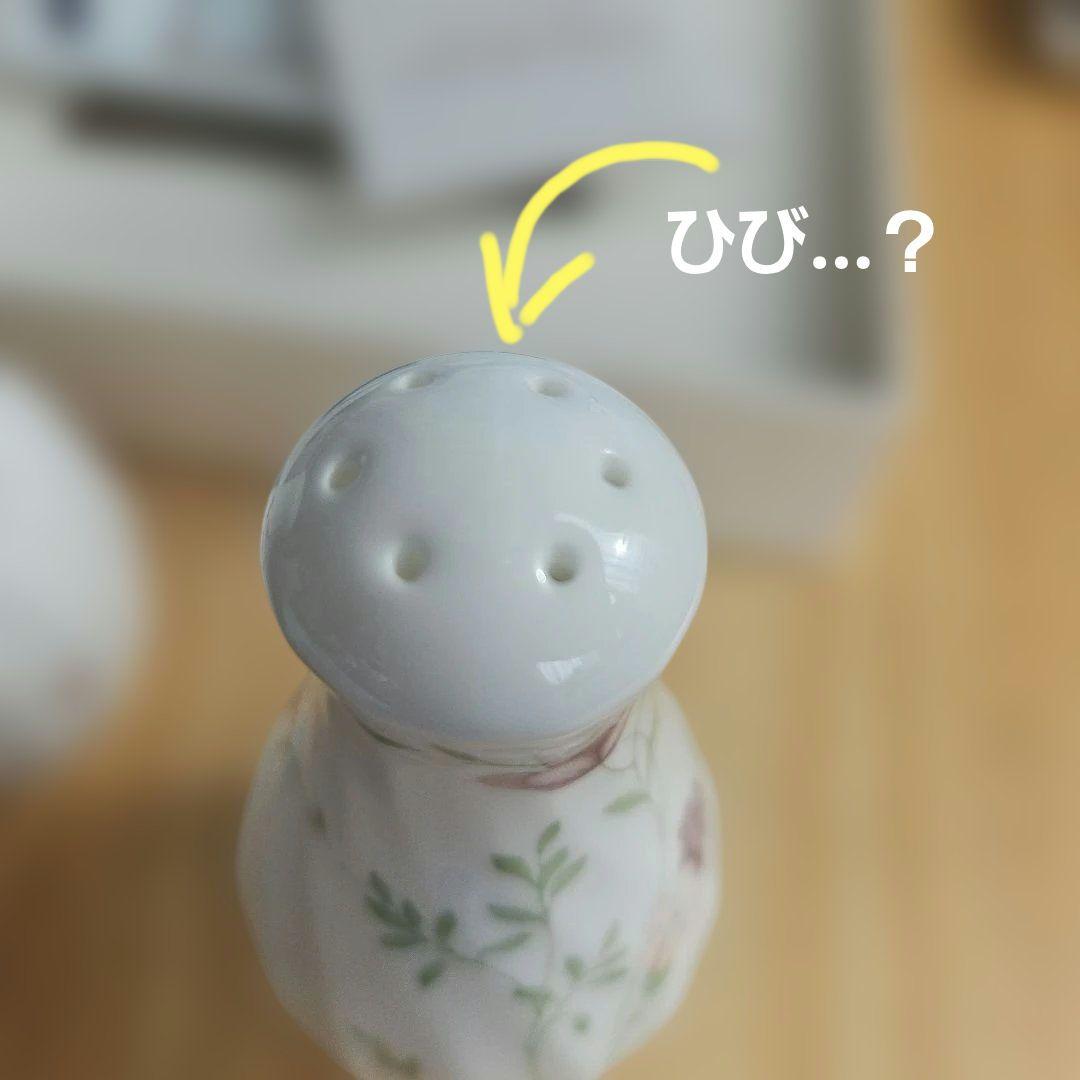  CAMPION 　ソルトペッパーセット