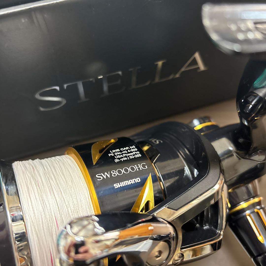 シマノ　19ステラ　SW8000HG