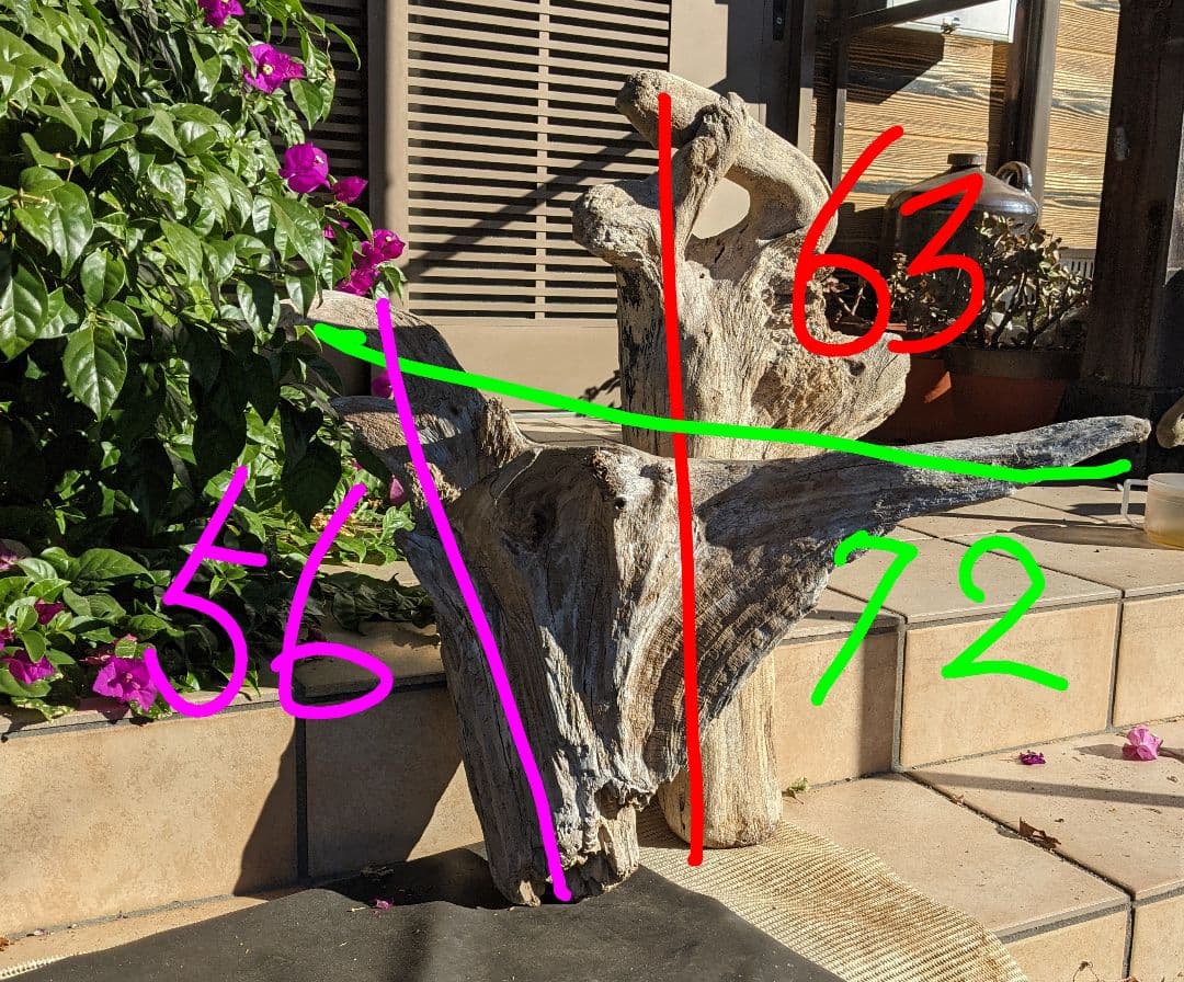 16ロックガーデン向き【超大型流木】2本組/洗浄済