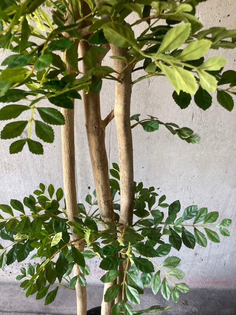 光触媒　人工観葉植物　ウォールグリーン　フェイクグリーン　トネリコ16666