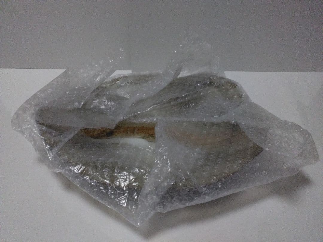 信楽焼 陶器皿 2枚セット