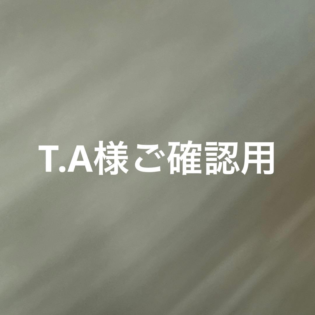 T.A様ご確認用　他の方購入できません
