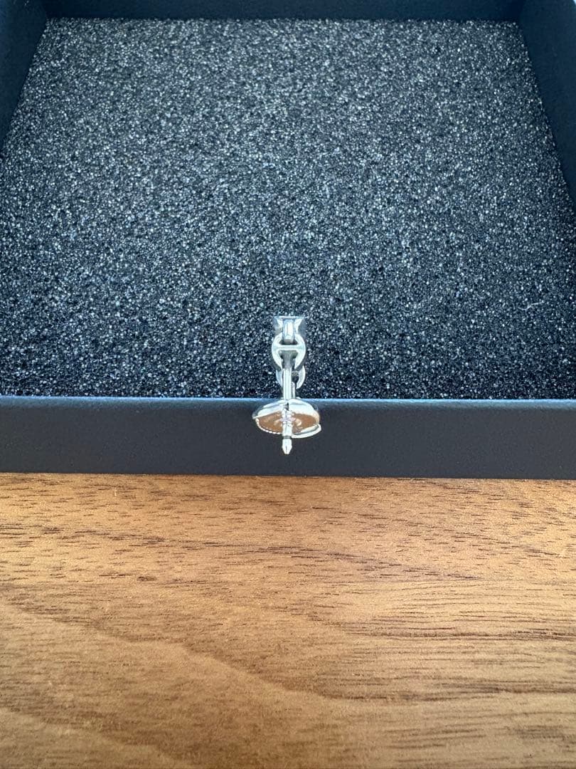 ホーセンブース HOORSENBUHS ピアス （片耳 × 箱付き）