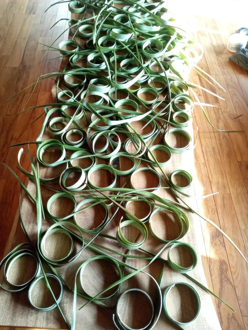 ハワイ産沖縄育ちのラウハラロール“25 Craft-Ⅸ”