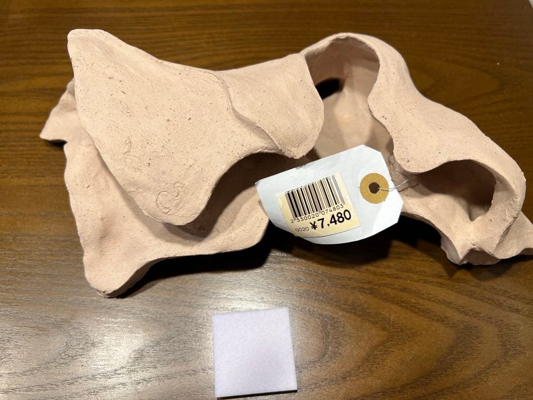 価格相談可）シェルタクラフタ　2個