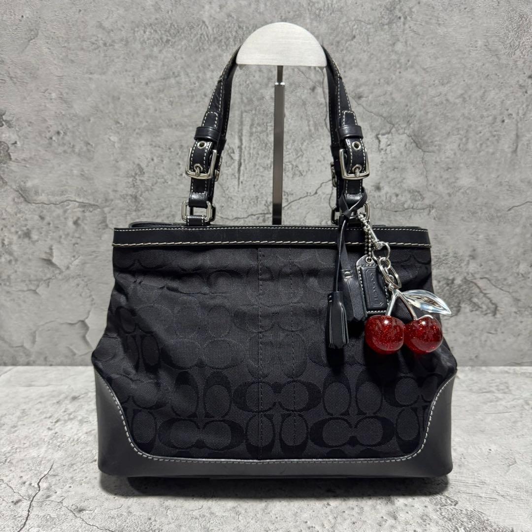 バッグ Coach Y2K Signature Leather Tote Bag