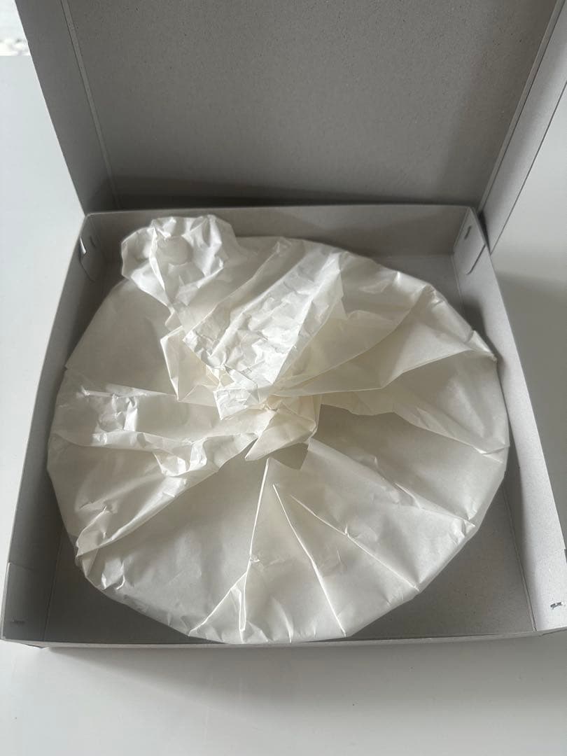 辻和美さん　大皿プレート　factory zoomer てんてん