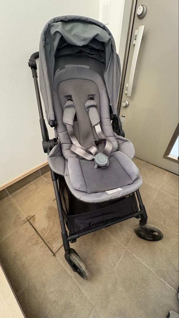 サイベックス　メリオ　2022年購入