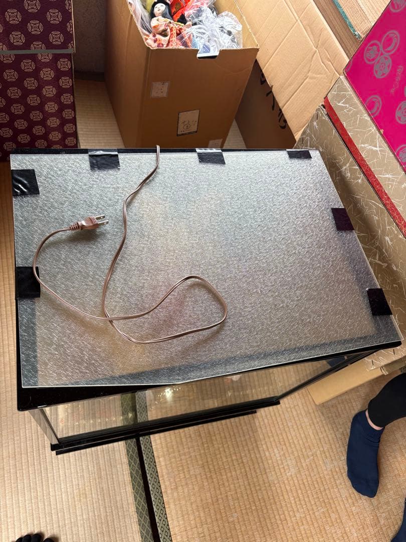 五月人形 透明ケース付き