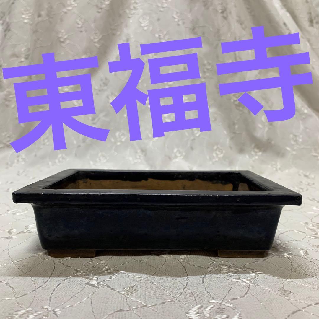 東福寺　長方　盆栽鉢