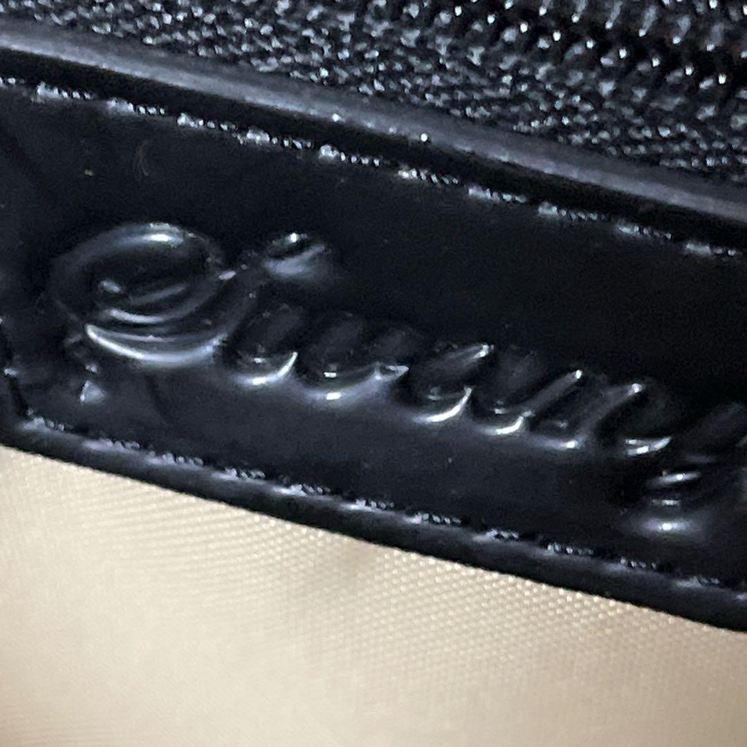 【未使用】SWANY スワニー 4輪キャリーバッグ モノグラーモ