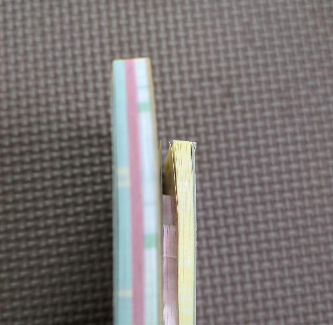 平成レトロ　ネコ　ねこ　レア　ミニメモ帳　メモ帳　うちのにゃんこ　にゃんこ飯店