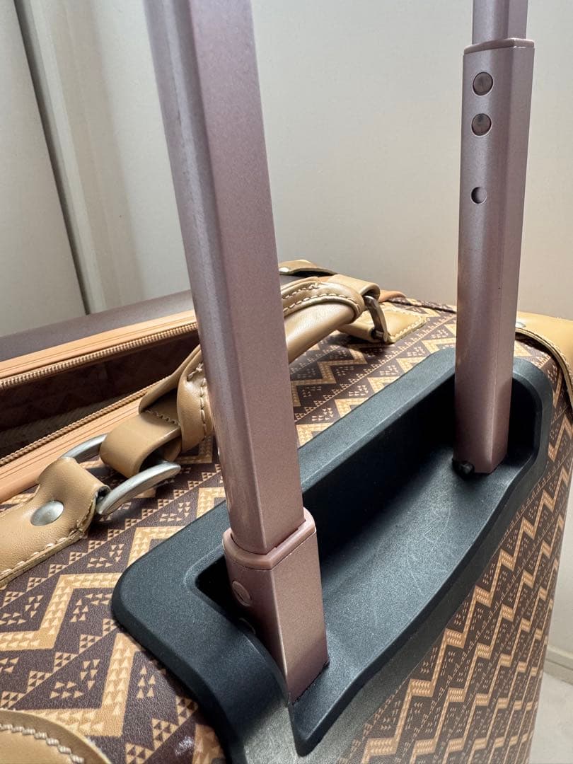 大幅値下げ‼︎【希少品】ハワイ アウラニ ディズニー　キャリーケース　AULANI