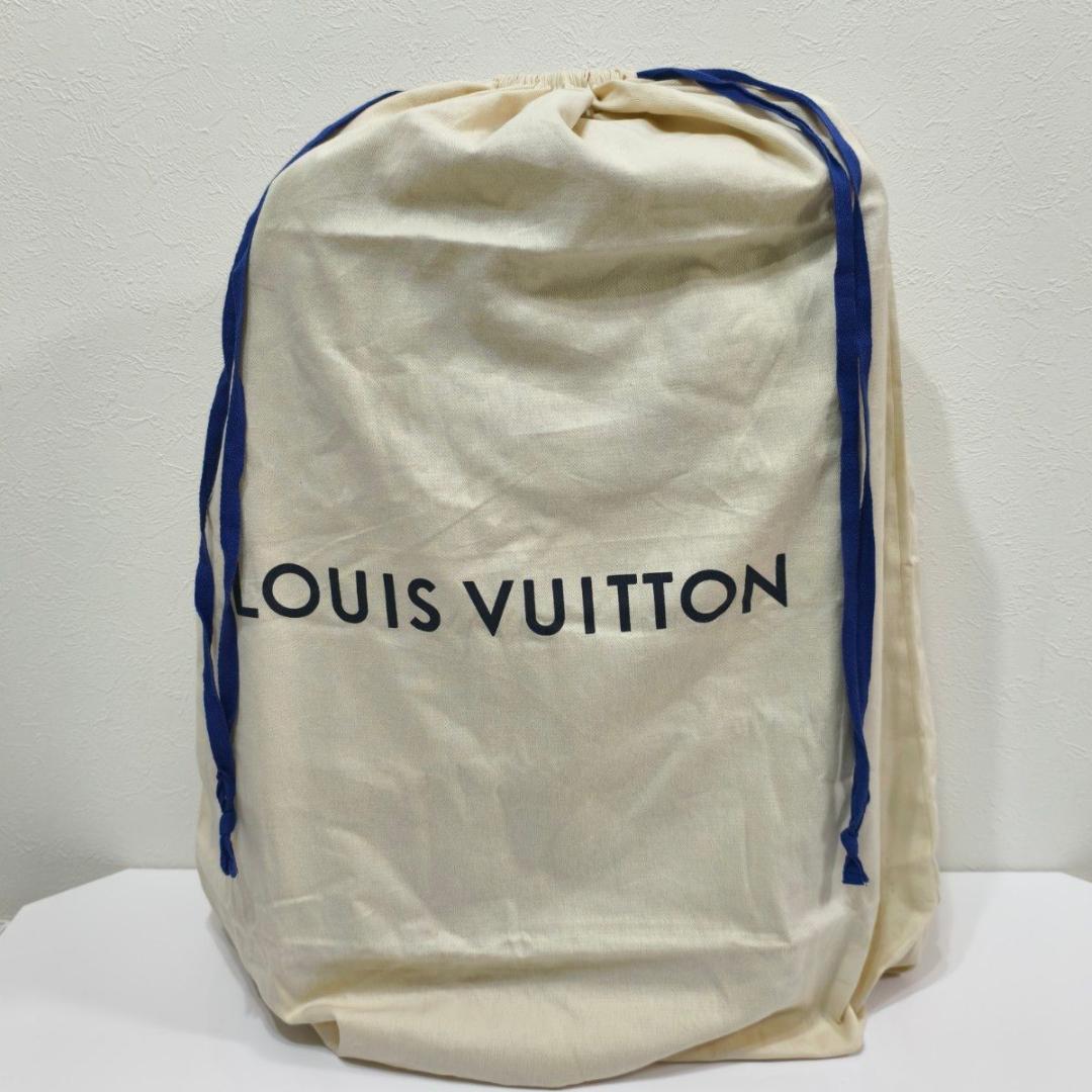 LOUIS VUITTON ルイヴィトン ダミエ ペガス55 キャリーケース