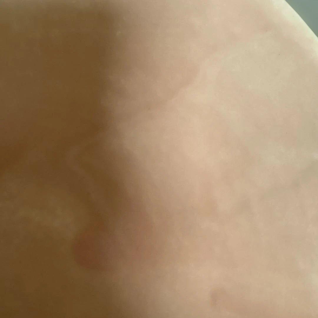 Christiane Perrochon　クリスチャン　ペロション　ボウル