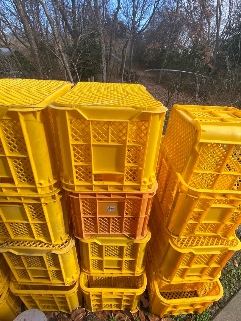 コンテナ 100ケース