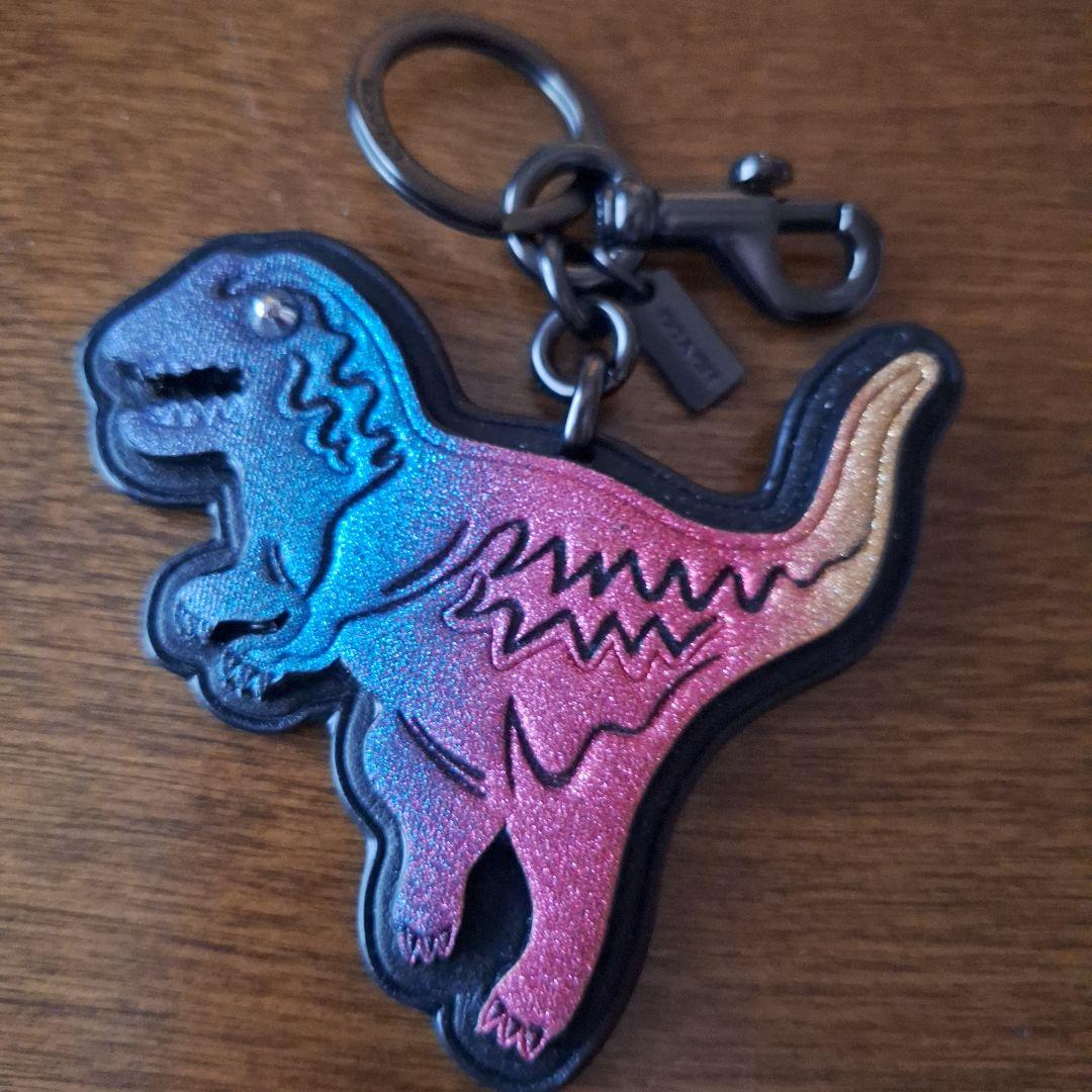 【COACH】レキシーチャーム　レインボー