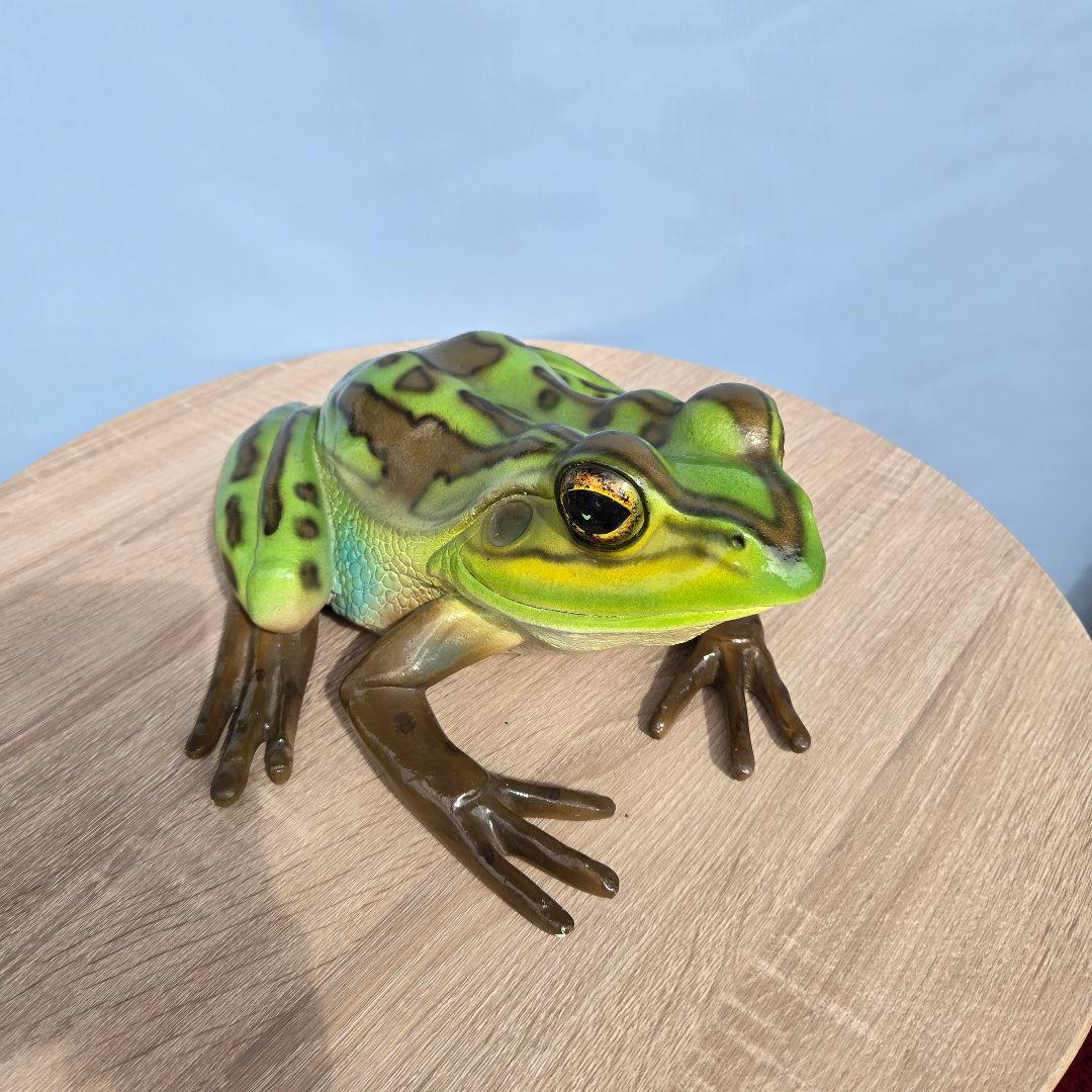 子キンスジアメガエル アニマルオブジェ リアル 置物 インテリア 軽い