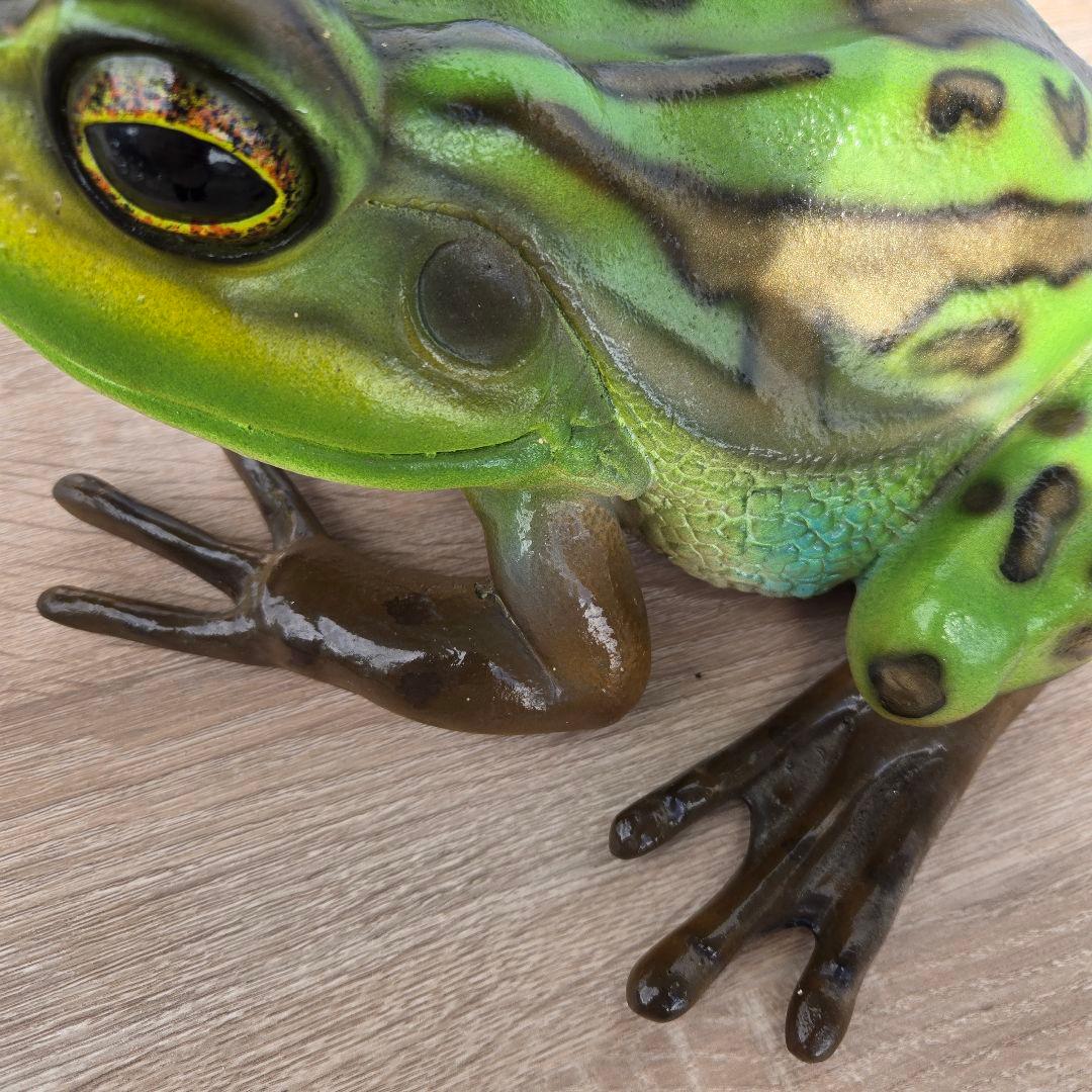子キンスジアメガエル アニマルオブジェ リアル 置物 インテリア 軽い